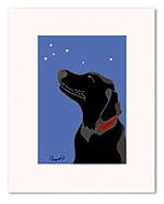 Black Lab & Stars