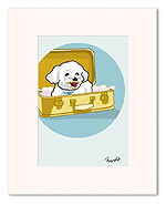 Bichon in Luggage