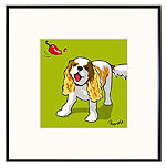 King Charles Spaniel 