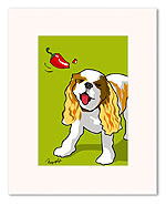 King Charles Spaniel 