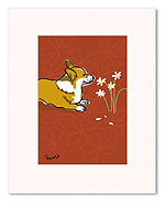 Corgi & Daisies