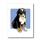 Bernese Mt. Dog