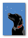 Black Lab & Stars