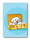 Bichon in Luggage