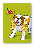 King Charles Spaniel & Red Pepper 