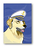 Golden in Sailor Hat