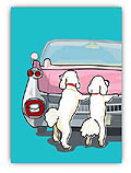 Poodle & Pink Cadilac