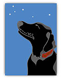 Black Lab & Stars