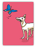 Chihuahua & Butterfly