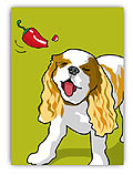 King Charles Spaniel