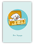 Bichon in Luggage