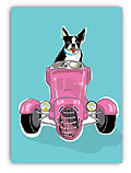 Boston Terrier & Car