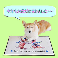 予告広告よ♪