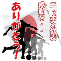 オカちゃん ごめんなさい! m(__)m