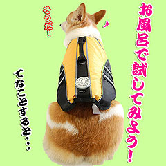 新型ライフジャケット 新発売!