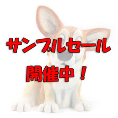 サンプルセール2010