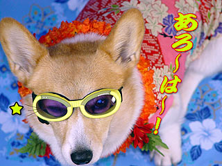 たまにはババ〜ンと!・・・ネッ♪