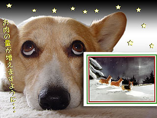 メリー・クリスマス!