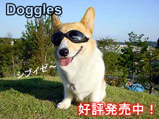 DogglesēׁI