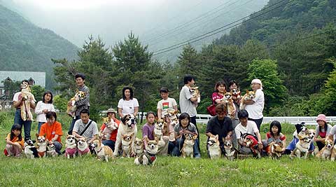来年もやるかも・・・