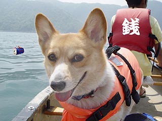 あっぶくぜに〜 アブクぜに〜 ♪