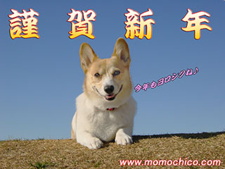 あけましておめでとう♪