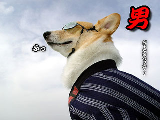 古い奴だとお思いでしょうが 古い奴ほど新しいものを欲しがるもんでございます・・・