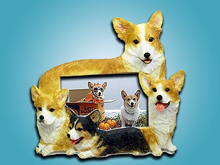 �v���[���g�ɍœK�I