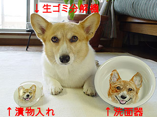 イイワヨ〜♪