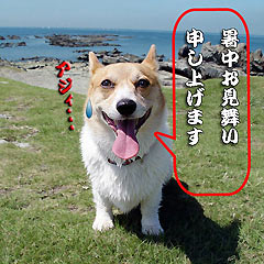 熱中症には気をつけてネ・・・