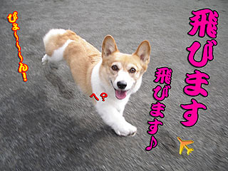 7歳にしてますます盛んよ♪