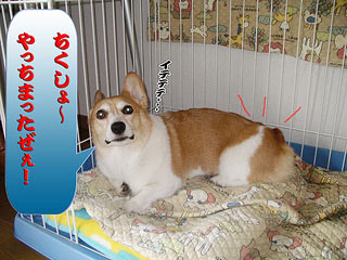 7歳にして腰を痛めてしまいました 。・゜゜・(>_<;)・゜゜・。