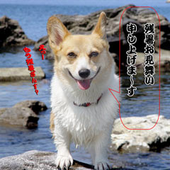夏は短いわね・・・